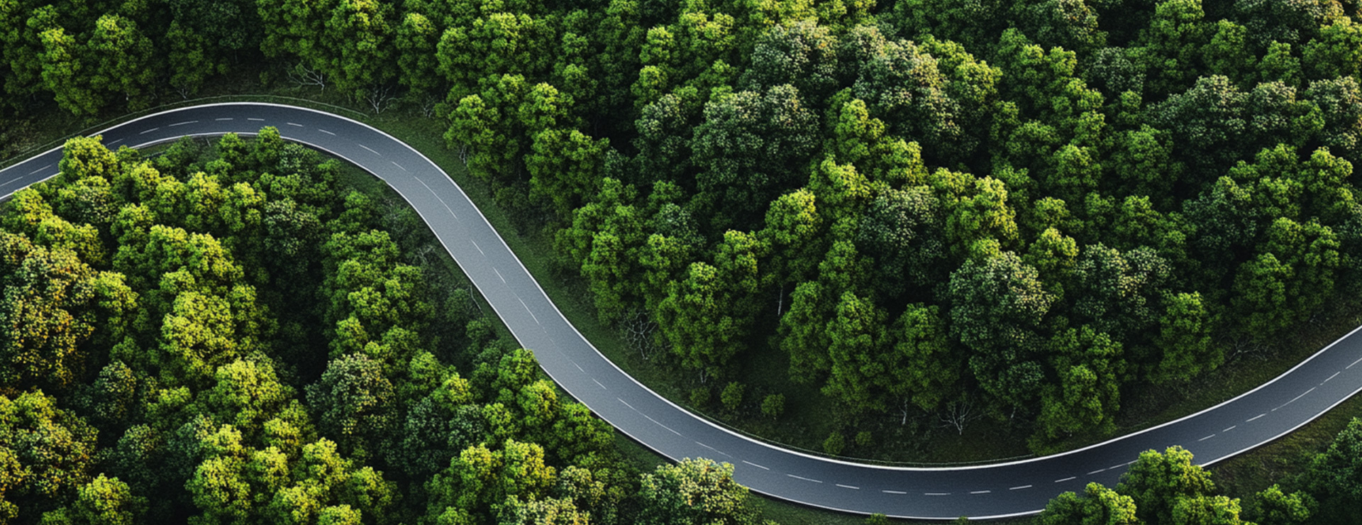 MK����(MKsports����)�ɷݹ�˾ - Mk Sports